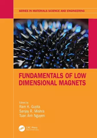 Fundamentals of Low Dimensional Magnets cover