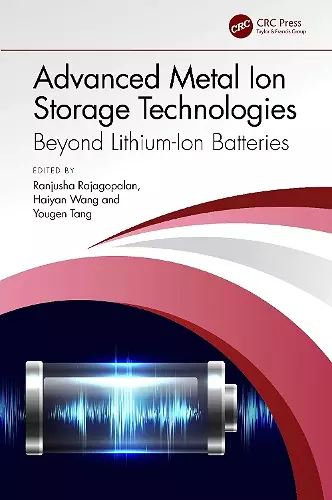 Advanced Metal Ion Storage Technologies cover