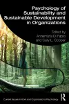 Psychology of Sustainability and Sustainable Development in Organizations cover