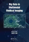 Big Data in Multimodal Medical Imaging cover