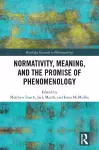 Normativity, Meaning, and the Promise of Phenomenology cover