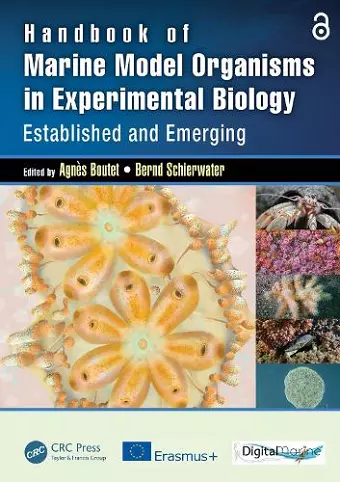 Handbook of Marine Model Organisms in Experimental Biology cover