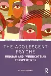 The Adolescent Psyche cover