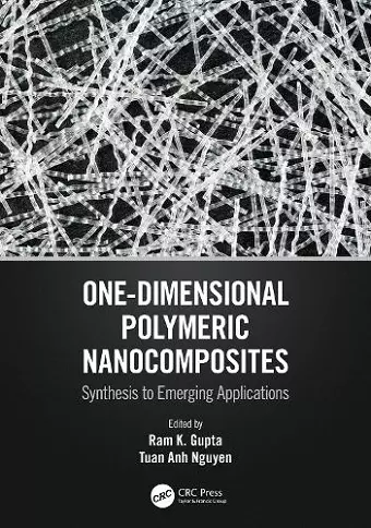 One-Dimensional Polymeric Nanocomposites cover