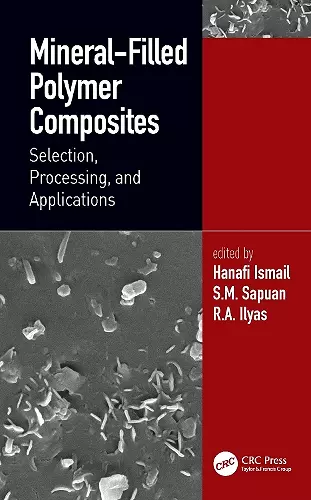 Mineral-Filled Polymer Composites cover