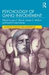 Psychology of Gang Involvement cover