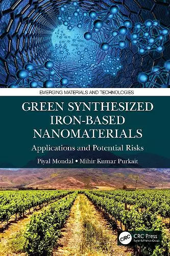 Green Synthesized Iron-based Nanomaterials cover