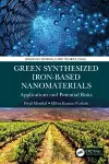 Green Synthesized Iron-based Nanomaterials cover