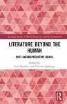 Literature Beyond the Human cover
