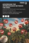 Governing the Interlinkages between the SDGs cover