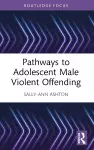 Pathways to Adolescent Male Violent Offending cover