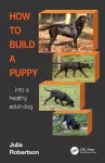 How to Build a Puppy cover