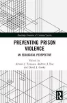 Preventing Prison Violence cover