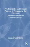 Psychoanalytic and Cultural Aspects of Trauma and the Holocaust cover