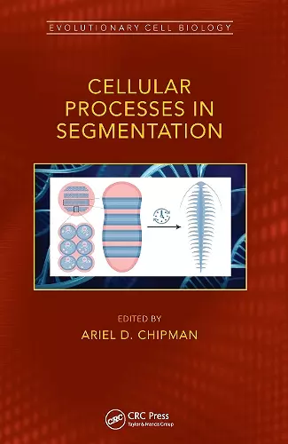 Cellular Processes in Segmentation cover