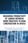 Measuring Productivity of Labour-Intensive Work Practices in Road Construction in Africa cover