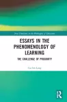 Essays in the Phenomenology of Learning cover