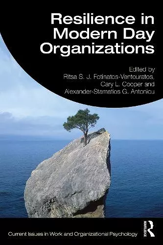 Resilience in Modern Day Organizations cover