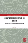 Underdevelopment in Peru cover