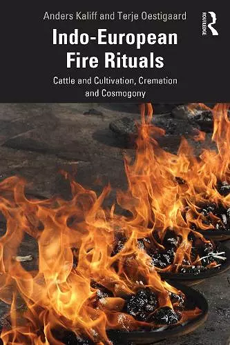 Indo-European Fire Rituals cover