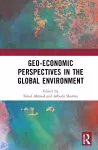 Geo-economic Perspectives in the Global Environment cover