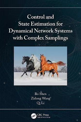 Control and State Estimation for Dynamical Network Systems with Complex Samplings cover