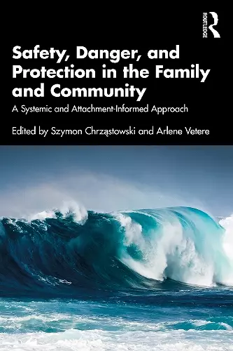 Safety, Danger, and Protection in the Family and Community cover