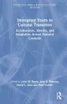 Immigrant Youth in Cultural Transition cover