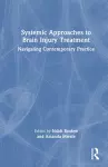 Systemic Approaches to Brain Injury Treatment cover