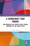 A Democracy That Works cover