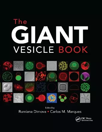 The Giant Vesicle Book cover