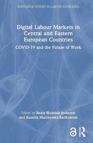 Digital Labour Markets in Central and Eastern European Countries cover