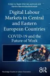 Digital Labour Markets in Central and Eastern European Countries cover