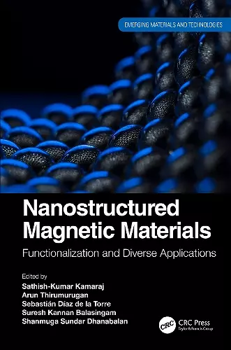 Nanostructured Magnetic Materials cover