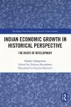 Indian Economic Growth in Historical Perspective cover