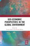 Geo-economic Perspectives in the Global Environment cover