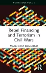 Rebel Financing and Terrorism in Civil Wars cover