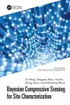 Bayesian Compressive Sensing for Site Characterization cover