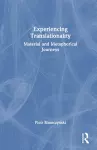 Experiencing Translationality cover