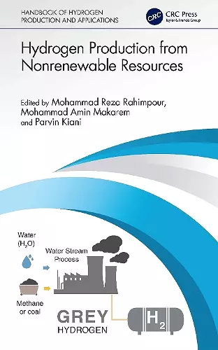 Hydrogen Production from Nonrenewable Resources cover