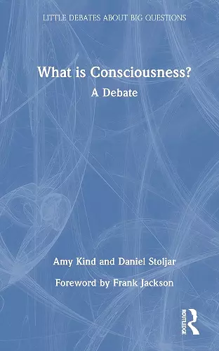 What is Consciousness? cover