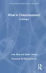 What is Consciousness? cover