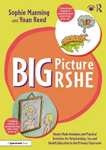 Big Picture RSHE cover