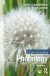 Understanding Phonology cover