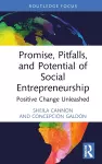 Promise, Pitfalls, and Potential of Social Entrepreneurship cover