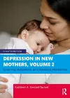 Depression in New Mothers, Volume 2 cover