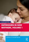 Depression in New Mothers, Volume 1 cover