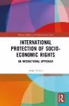 International Protection of Socio-Economic Rights cover
