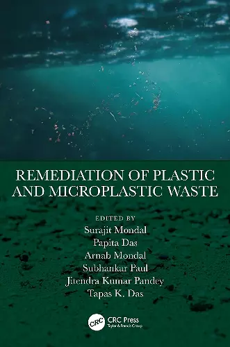 Remediation of Plastic and Microplastic Waste cover