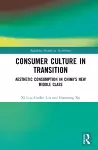 Consumer Culture in Transition cover